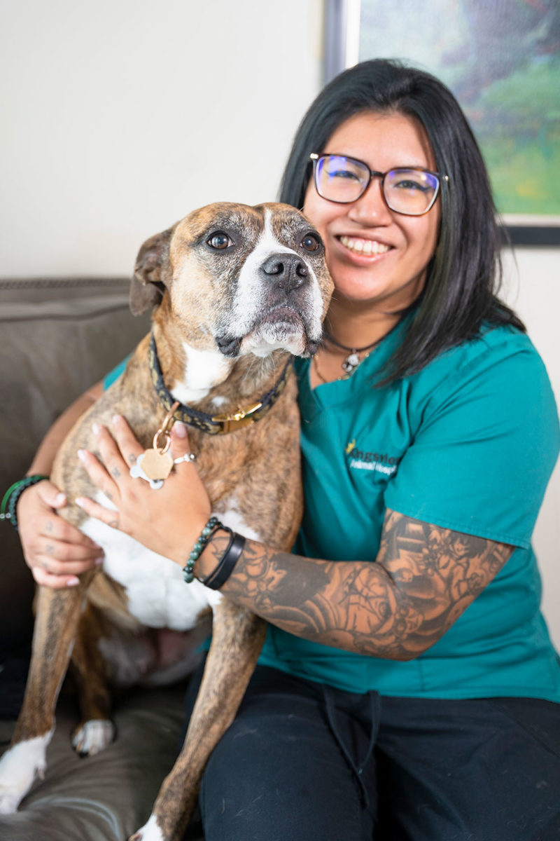 Our Team Kingsview Animal Hospital