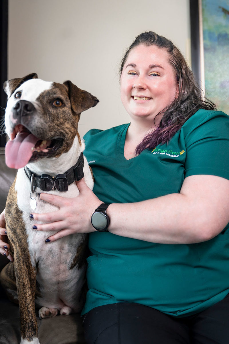 Our Team Kingsview Animal Hospital