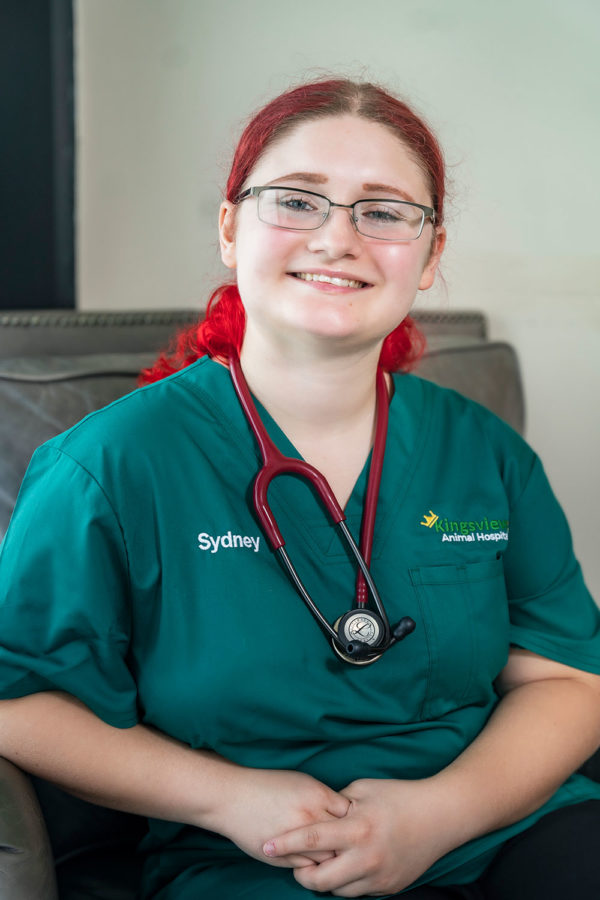 Our Team Kingsview Animal Hospital